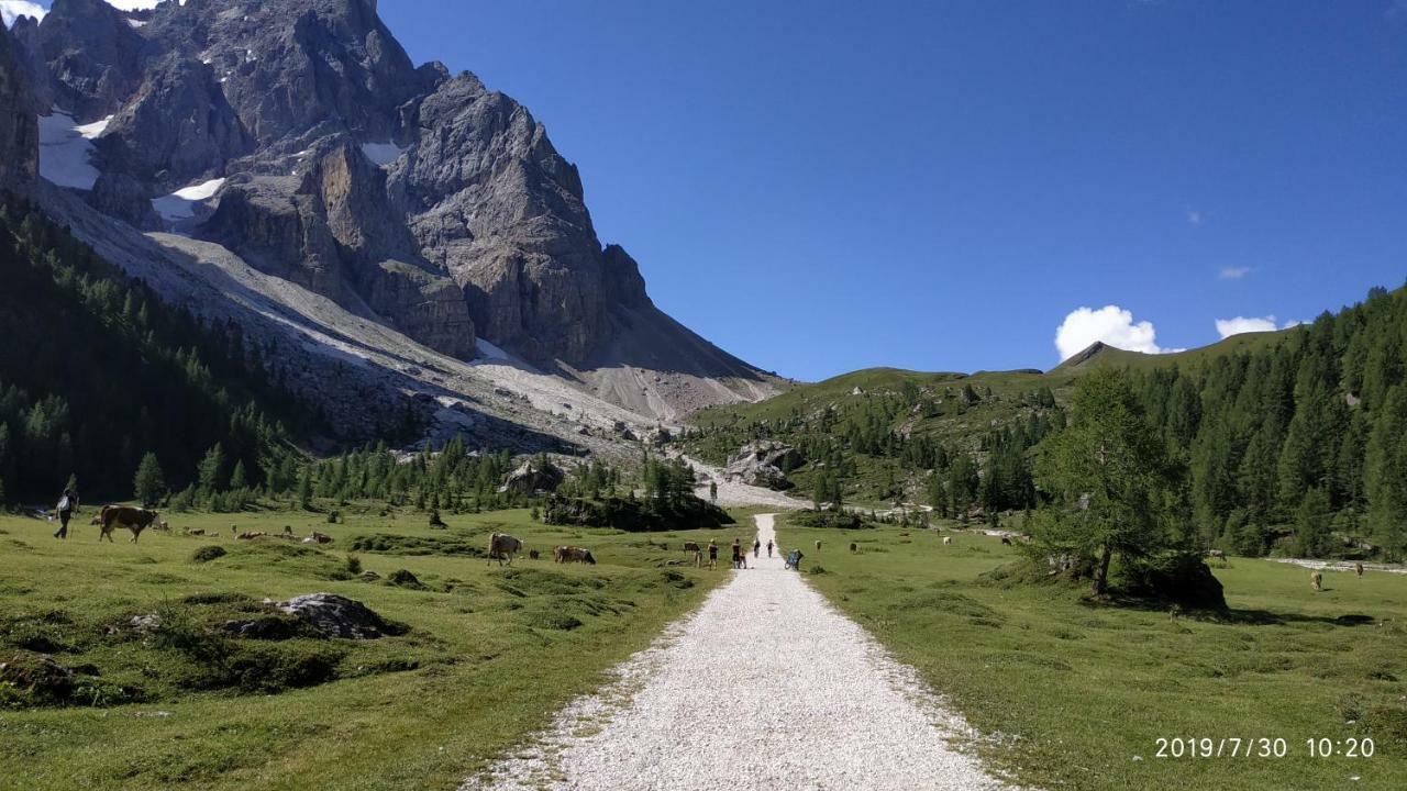 Il Covo Dello Sciatore Appartement Falcade Buitenkant foto